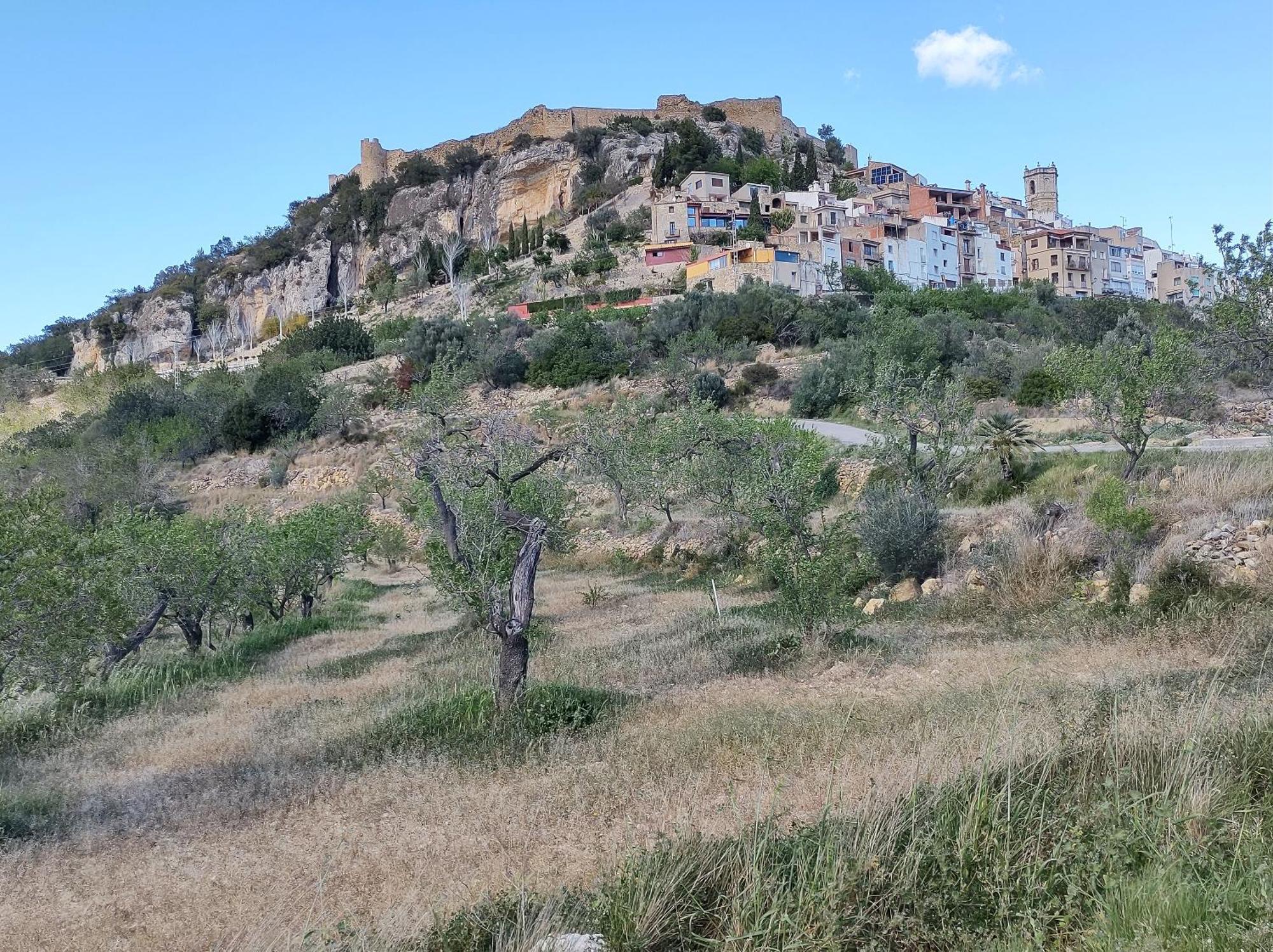 Tranquil And Spacious Townhouse In Historical And Picturesque Cervera Del Maestre Exterior photo